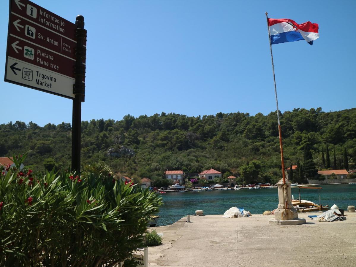 Studio Apartments & Rooms Lela, Sipan Island Šipanska Luka Dış mekan fotoğraf
